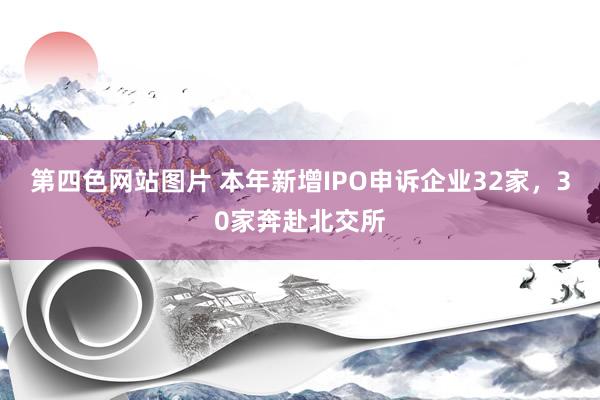 第四色网站图片 本年新增IPO申诉企业32家，30家奔赴北交所