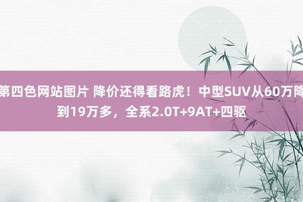 第四色网站图片 降价还得看路虎！中型SUV从60万降到19万多，全系2.0T+9AT+四驱