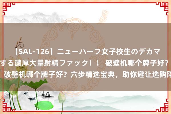 【SAL-126】ニューハーフ女子校生のデカマラが生穿きブルマを圧迫する濃厚大量射精ファック！！ 破壁机哪个牌子好？六步精选宝典，助你避让选购陷坑！