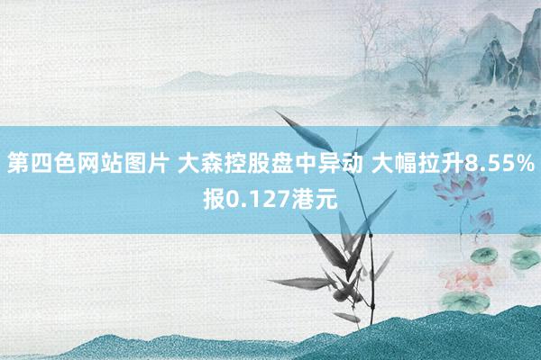 第四色网站图片 大森控股盘中异动 大幅拉升8.55%报0.127港元