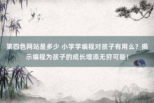 第四色网站是多少 小学学编程对孩子有用么？揭示编程为孩子的成长增添无穷可能！