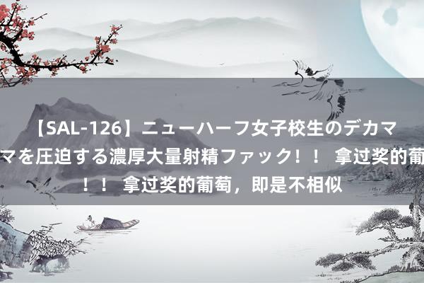 【SAL-126】ニューハーフ女子校生のデカマラが生穿きブルマを圧迫する濃厚大量射精ファック！！ 拿过奖的葡萄，即是不相似