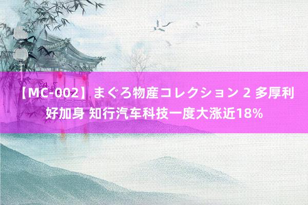 【MC-002】まぐろ物産コレクション 2 多厚利好加身 知行汽车科技一度大涨近18%