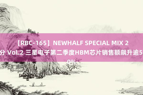 【RBC-165】NEWHALF SPECIAL MIX 240分 Vol.2 三星电子第二季度HBM芯片销售额飙升逾50%