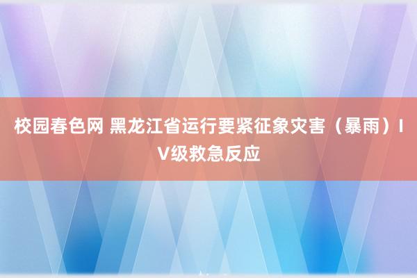 校园春色网 黑龙江省运行要紧征象灾害（暴雨）IV级救急反应