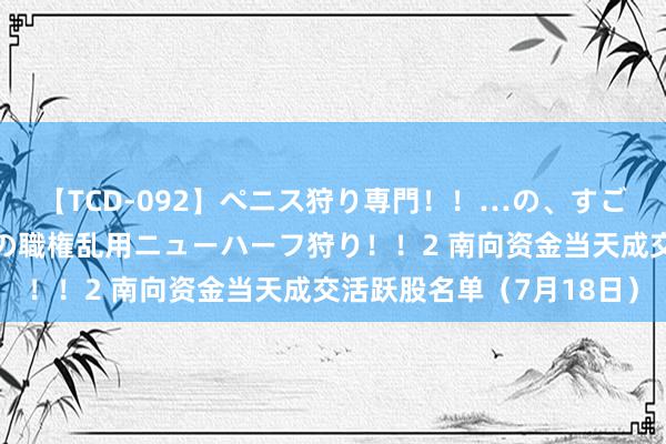 【TCD-092】ペニス狩り専門！！…の、すごい痴女万引きGメン達の職権乱用ニューハーフ狩り！！2 南向资金当天成交活跃股名单（7月18日）