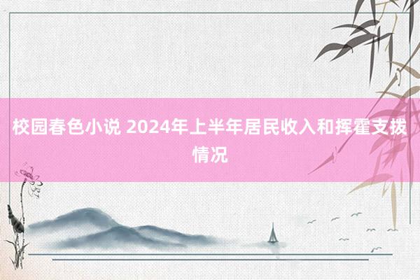 校园春色小说 2024年上半年居民收入和挥霍支拨情况