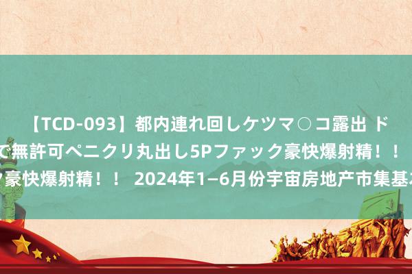 【TCD-093】都内連れ回しケツマ○コ露出 ド変態ニューハーフ野外で無許可ペニクリ丸出し5Pファック豪快爆射精！！ 2024年1—6月份宇宙房地产市集基本情况