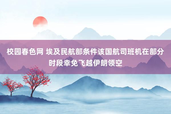 校园春色网 埃及民航部条件该国航司班机在部分时段幸免飞越伊朗领空