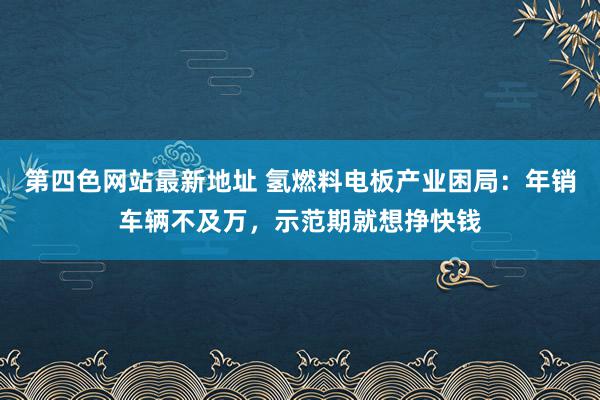 第四色网站最新地址 氢燃料电板产业困局：年销车辆不及万，示范期就想挣快钱