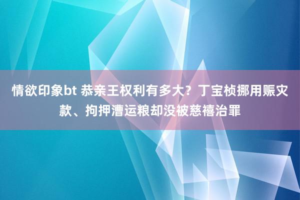 情欲印象bt 恭亲王权利有多大？丁宝桢挪用赈灾款、拘押漕运粮却没被慈禧治罪