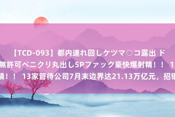 【TCD-093】都内連れ回しケツマ○コ露出 ド変態ニューハーフ野外で無許可ペニクリ丸出し5Pファック豪快爆射精！！ 13家管待公司7月末边界达21.13万亿元，招银、兴银边界收缩