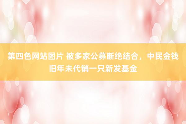 第四色网站图片 被多家公募断绝结合，中民金钱旧年未代销一只新发基金