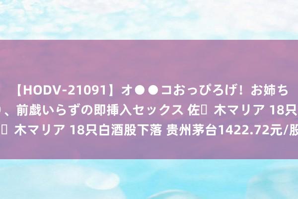 【HODV-21091】オ●●コおっぴろげ！お姉ちゃん 四六時中濡れまくり、前戯いらずの即挿入セックス 佐々木マリア 18只白酒股下落 贵州茅台1422.72元/股收盘