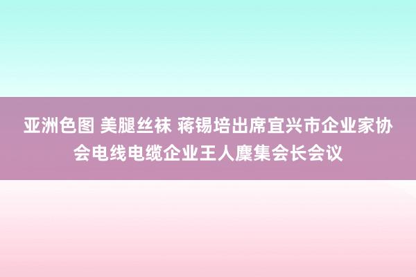 亚洲色图 美腿丝袜 蒋锡培出席宜兴市企业家协会电线电缆企业王人麇集会长会议