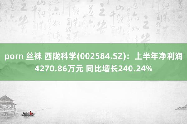 porn 丝袜 西陇科学(002584.SZ)：上半年净利润4270.86万元 同比增长240.24%