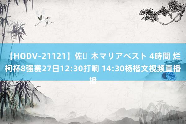 【HODV-21121】佐々木マリアベスト 4時間 烂柯杯8强赛27日12:30打响 14:30杨楷文视频直播