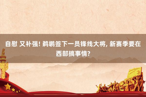 自慰 又补强! 鹈鹕签下一员锋线大将, 新赛季要在西部搞事情?