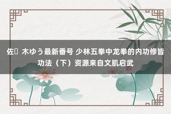 佐々木ゆう最新番号 少林五拳中龙拳的内功修皆功法（下）资源来自文肌启武